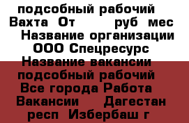 подсобный рабочий . Вахта. От 30 000 руб./мес. › Название организации ­ ООО Спецресурс › Название вакансии ­ подсобный рабочий - Все города Работа » Вакансии   . Дагестан респ.,Избербаш г.